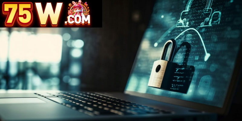Direitos dos usuários segundo a Política de Privacidade 75W